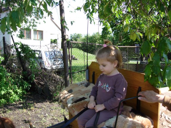 2010-05-22_19.JPG